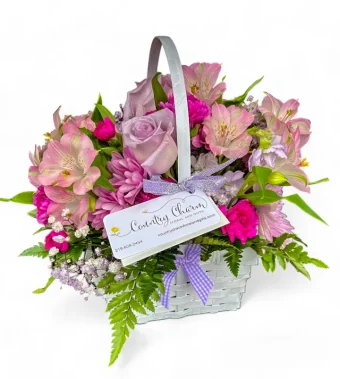 Sweetheart Flower Basket Is a Tasteful White Wicker Basket Filled with the Freshest Assortment of Roses, Mums, Carnations, and Alstroemeria with perfect Accents of Fresh Greenery. Send a Basket of Love to Anyone in New Carlisle or LaPorte County, Indiana for Affordable, Same Day Delivery 7 Days a Week.