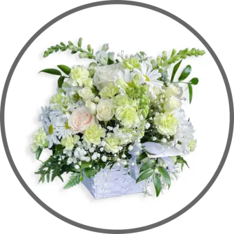 Floral Baskets and Plants