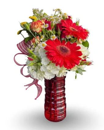 This Simple and Sweet Bouquet makes a perfect gift for Celebrating an Anniversary or Birthday, or just Letting Someone Know You're Thinking of Them. This Vibrant Vase of Premium Fresh Red & White Flowers is Perfect for Just About Any Occasion, Any Day of the Week! Best LaPorte, Indiana Florist for Every Occasion and Budget!