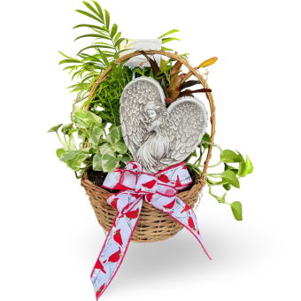 This Sympathy Plant Basket is more than a gift—it’s a living expression of your care and support. With the beautiful, seasonal ribbon and the option to add a heartfelt garden stone, you really can't go wrong. Whether sent as a condolence gift, a thank-you, or a get-well gesture, it is a timeless choice for any occasion. Order today and let your thoughtful gift bring peace, comfort, and lasting beauty. LaPorte, Indiana Florist Delivering for Every Occasion 7 Days a Week.