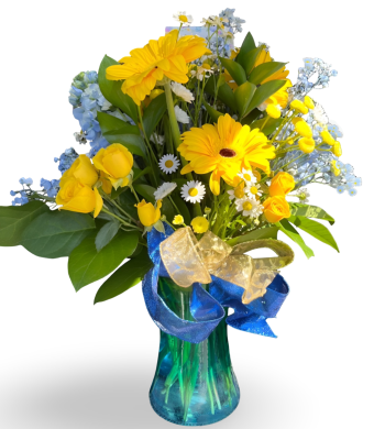 You are my sunshine Bouquet | Beautifully arranged in a blue vase is a gorgeous display of either yellow gerbera daisies or vibrant sunflowers, with yellow spray roses, and blue baby's breath. This is a perfect bouquet for any occasion - delivery to laporte indiana daily.