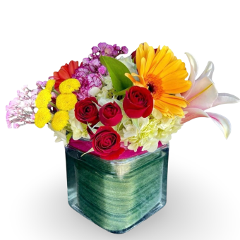 Send our delightful Fruit of the Bloom today: A colorful arrangement of Assorted Vibrant, Fresh-Cut Seasonal Flowers accented with Lush Greenery in a tasteful square vase. The colorful variety of beautiful flowers makes this bouquet unique to anyone who orders it- the plentiful, summertime flowers complement each other perfectly and the fragrance will instantly boost your mood- making this a perfect seasonal bouquet option for any occasion. Country Charm Floral and Gifts provides the freshest flowers for every occasion- 7 days a week to LaPorte County and New Carlisle, Indiana.