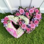 Pinks and Purples