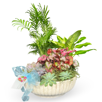 custom arrangement- a lovely, tasteful dish garden. laporte indiana florist for any occasion.